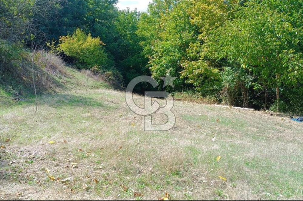 ÖDEMİŞ HORZUMDA SATILIK MUHTEŞEM BAHÇE 