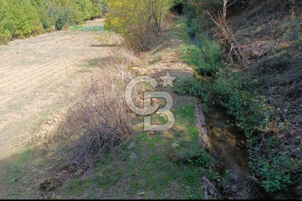 ÖDEMİŞ HORZUMDA SATILIK MUHTEŞEM BAHÇE 