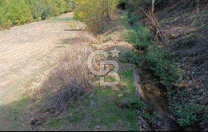 ÖDEMİŞ HORZUMDA SATILIK MUHTEŞEM BAHÇE 