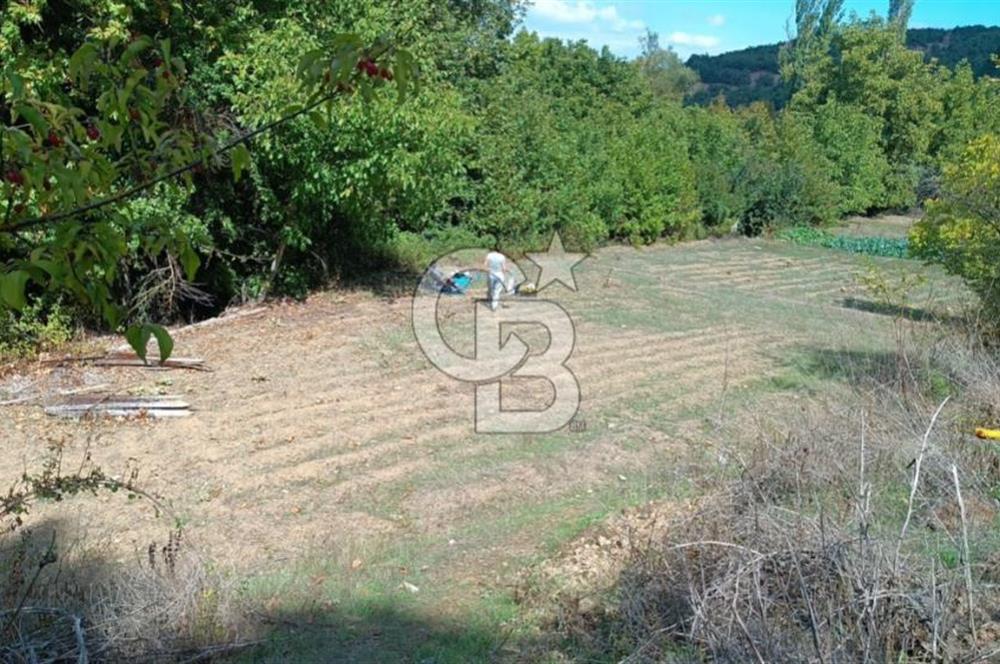 ÖDEMİŞ HORZUMDA SATILIK MUHTEŞEM BAHÇE 