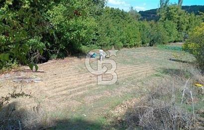 ÖDEMİŞ HORZUMDA SATILIK MUHTEŞEM BAHÇE 