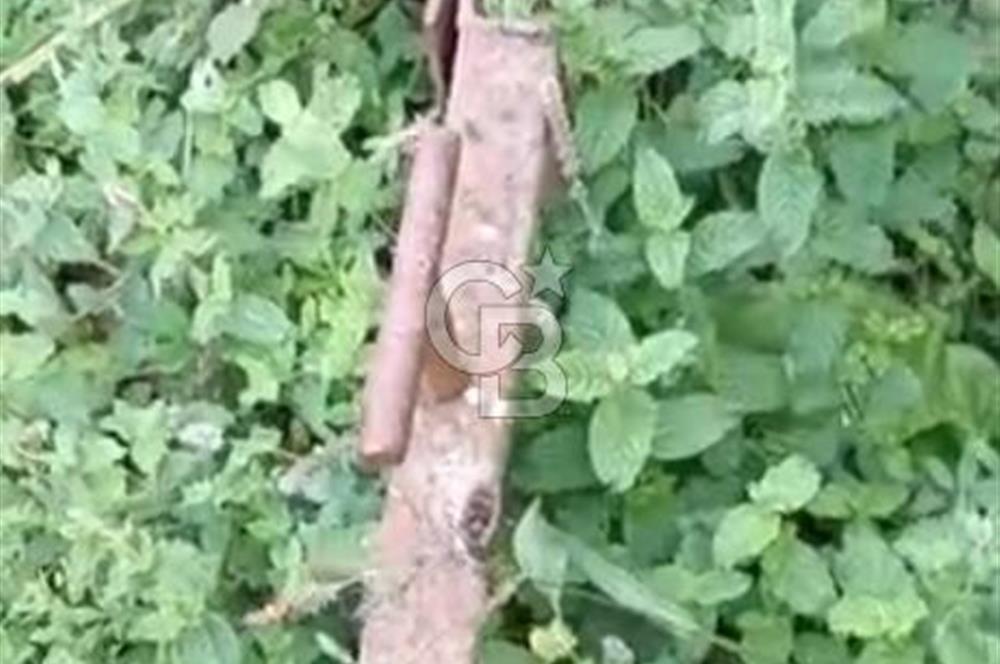 ÖDEMİŞ HORZUMDA SATILIK MUHTEŞEM BAHÇE 