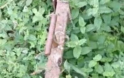 ÖDEMİŞ HORZUMDA SATILIK MUHTEŞEM BAHÇE 