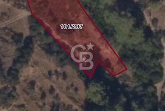 MUĞLA MİLAS DEMİRCİLER MAHALLESİNDE SATILIK ZEYTİNLİ TARLA - 3 - 312305