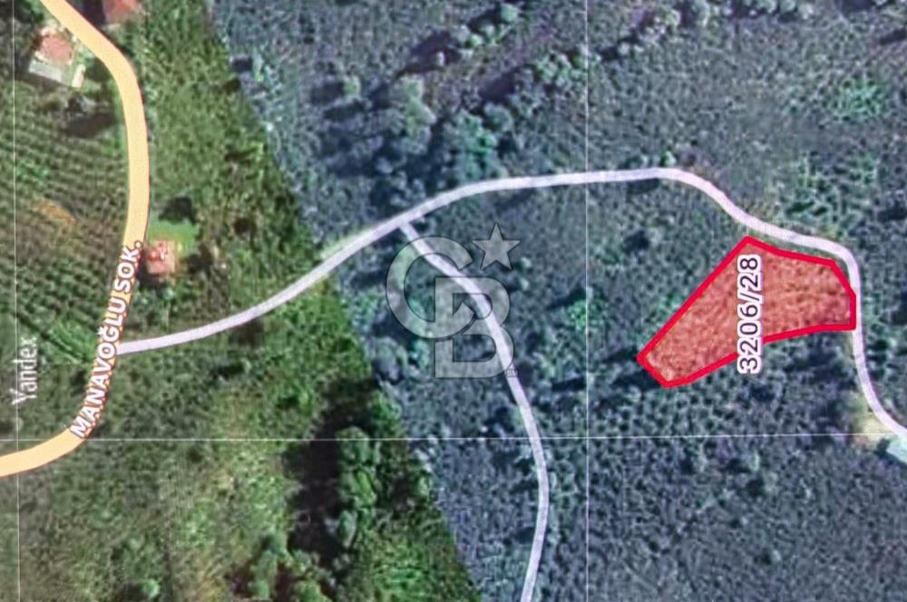 Altınordu Delikkaya Köyü’nde 2577 m² Yol Cepheli Fındık Bahçesi – Şehre 15 Dakika