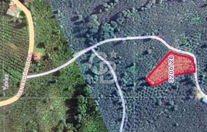 Altınordu Delikkaya Köyü’nde 2577 m² Yol Cepheli Fındık Bahçesi – Şehre 15 Dakika