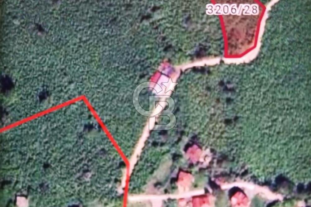 Altınordu Delikkaya Köyü’nde 2577 m² Yol Cepheli Fındık Bahçesi – Şehre 15 Dakika