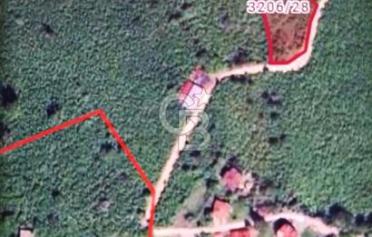 Altınordu Delikkaya Köyü’nde 2577 m² Yol Cepheli Fındık Bahçesi – Şehre 15 Dakika