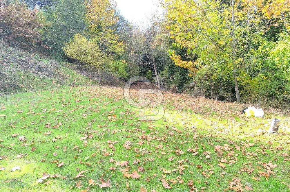 ÖDEMİŞ HORZUMDA SATILIK MUHTEŞEM BAHÇE 