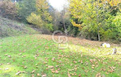 ÖDEMİŞ HORZUMDA SATILIK MUHTEŞEM BAHÇE 