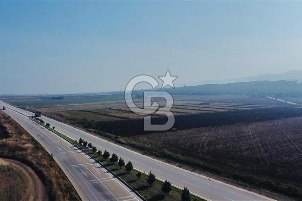 BİGA GÜVEMALAN OTOYOL CEPHELİ TARLA