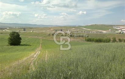 YENİMAHALLE SUSUZ BELÖREN PROJESİNDE KOOPERATİF HİSSE