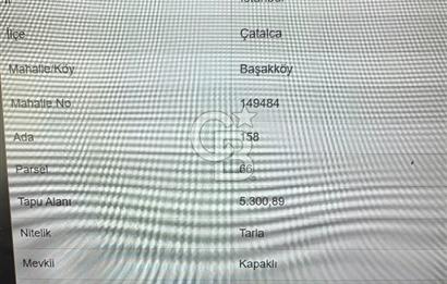 1281274468 ÇATALCA BAŞAKKÖY'DE SATILIK 5300M2 TARLA + 3778M2 ÇAYIR (KOMŞU) 