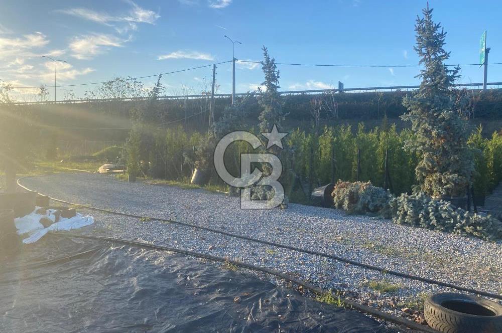 YALOVA ALTINOVA ANAYOLA CEPHE 8.000 M2 DEVREN KİRALK FİDANLIK!.