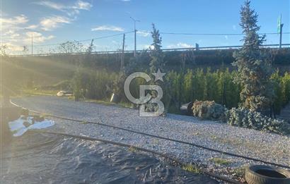 YALOVA ALTINOVA ANAYOLA CEPHE 8.000 M2 DEVREN KİRALK FİDANLIK!.