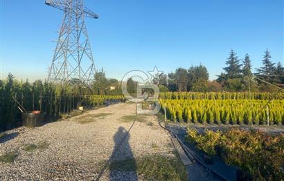 YALOVA ALTINOVA ANAYOLA CEPHE 8.000 M2 DEVREN KİRALK FİDANLIK!.