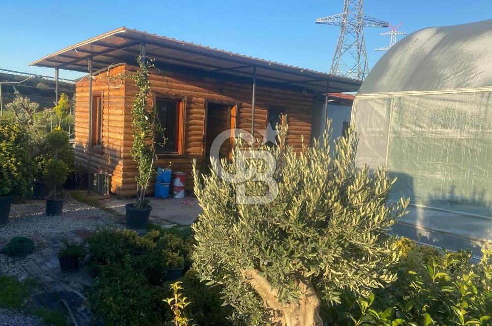 YALOVA ALTINOVA ANAYOLA CEPHE 8.000 M2 DEVREN KİRALK FİDANLIK!.