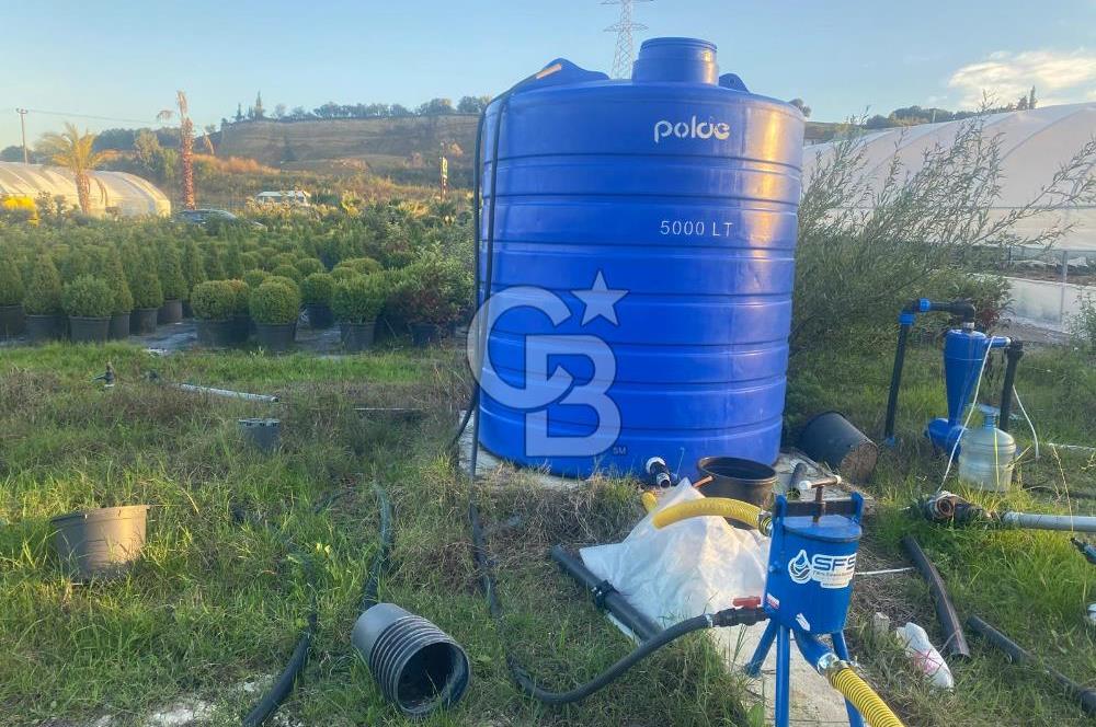 YALOVA ALTINOVA ANAYOLA CEPHE 8.000 M2 DEVREN KİRALK FİDANLIK!.