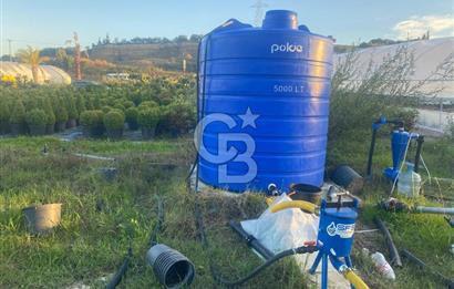 YALOVA ALTINOVA ANAYOLA CEPHE 8.000 M2 DEVREN KİRALK FİDANLIK!.