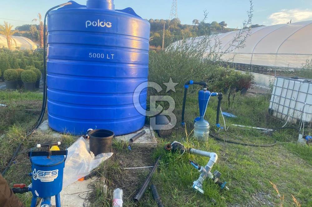 YALOVA ALTINOVA ANAYOLA CEPHE 8.000 M2 DEVREN KİRALK FİDANLIK!.