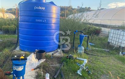 YALOVA ALTINOVA ANAYOLA CEPHE 8.000 M2 DEVREN KİRALK FİDANLIK!.