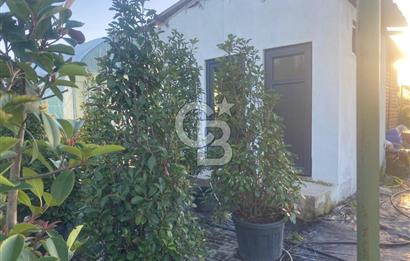 YALOVA ALTINOVA ANAYOLA CEPHE 8.000 M2 DEVREN KİRALK FİDANLIK!.