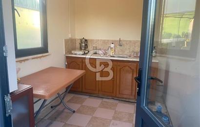 YALOVA ALTINOVA ANAYOLA CEPHE 8.000 M2 DEVREN KİRALK FİDANLIK!.