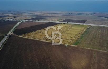 BİGA GÜVEMALAN OTOYOL CEPHELİ TARLA