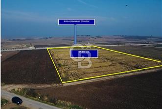 BİGA GÜVEMALAN OTOYOL CEPHELİ TARLA - 3 - 312349
