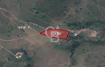 GEBZE MOLLAFENARİ AKVİRAN KARABAYIR MEVKİNDE SATILIK FIRSAT ARSA