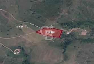 GEBZE MOLLAFENARİ AKVİRAN KARABAYIR MEVKİNDE SATILIK FIRSAT ARSA - 4 - 312364