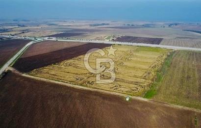 BİGA GÜVEMALAN OTOYOL CEPHELİ TARLA