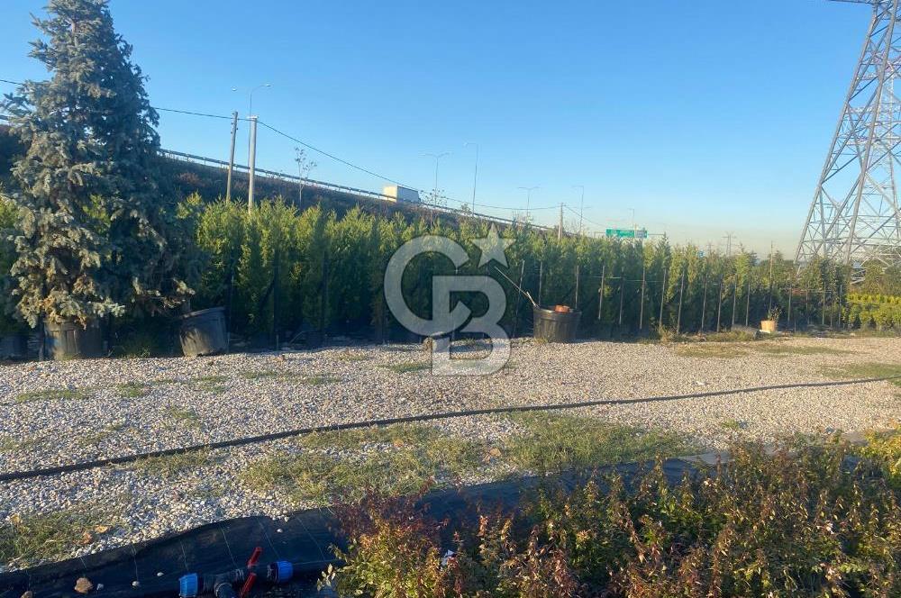 YALOVA ALTINOVA ANAYOLA CEPHE 8.000 M2 DEVREN KİRALK FİDANLIK!.