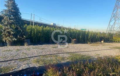 YALOVA ALTINOVA ANAYOLA CEPHE 8.000 M2 DEVREN KİRALK FİDANLIK!.