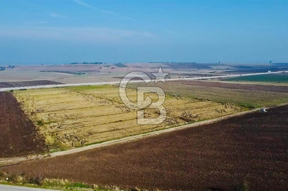 BİGA GÜVEMALAN OTOYOL CEPHELİ TARLA