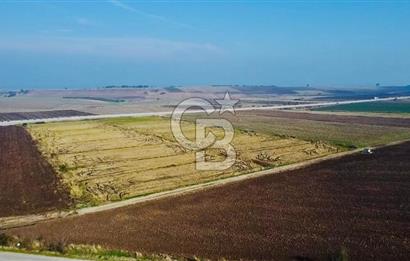 BİGA GÜVEMALAN OTOYOL CEPHELİ TARLA