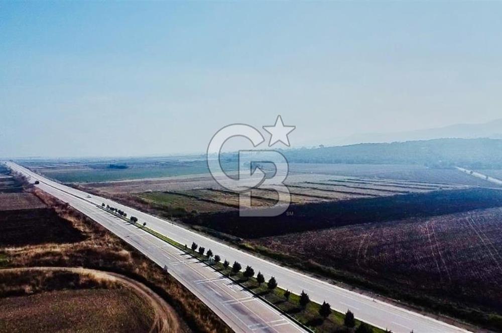 BİGA GÜVEMALAN OTOYOL CEPHELİ TARLA