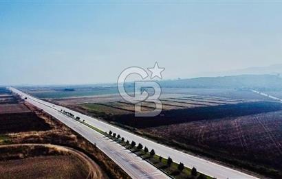 BİGA GÜVEMALAN OTOYOL CEPHELİ TARLA