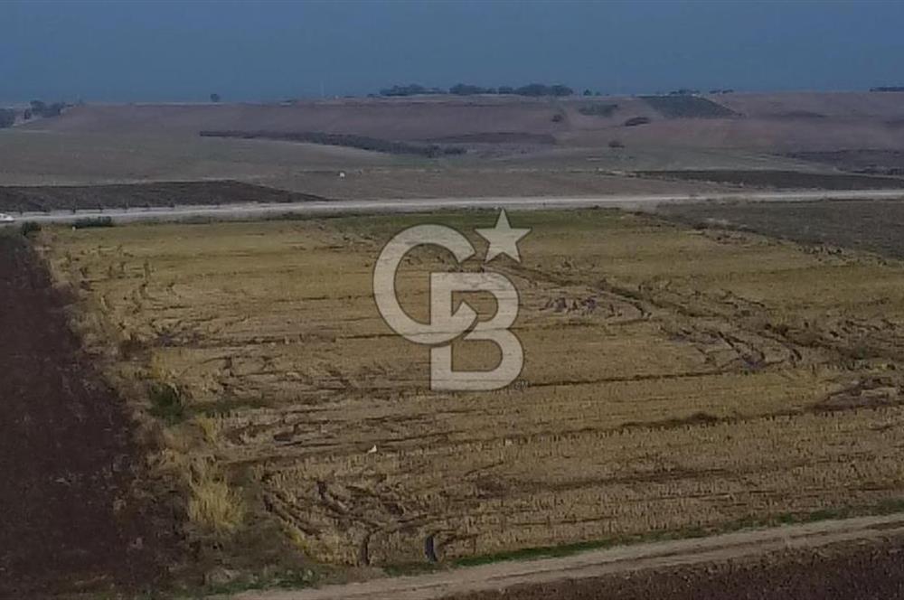 BİGA GÜVEMALAN OTOYOL CEPHELİ TARLA