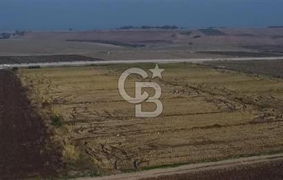 BİGA GÜVEMALAN OTOYOL CEPHELİ TARLA