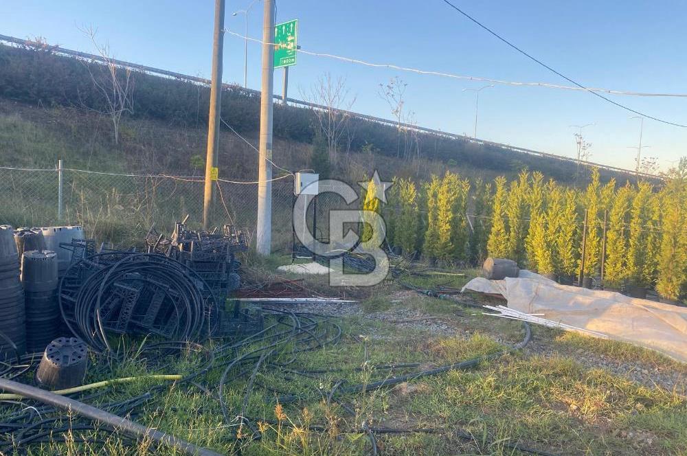 YALOVA ALTINOVA ANAYOLA CEPHE 8.000 M2 DEVREN KİRALK FİDANLIK!.
