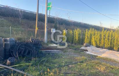 YALOVA ALTINOVA ANAYOLA CEPHE 8.000 M2 DEVREN KİRALK FİDANLIK!.