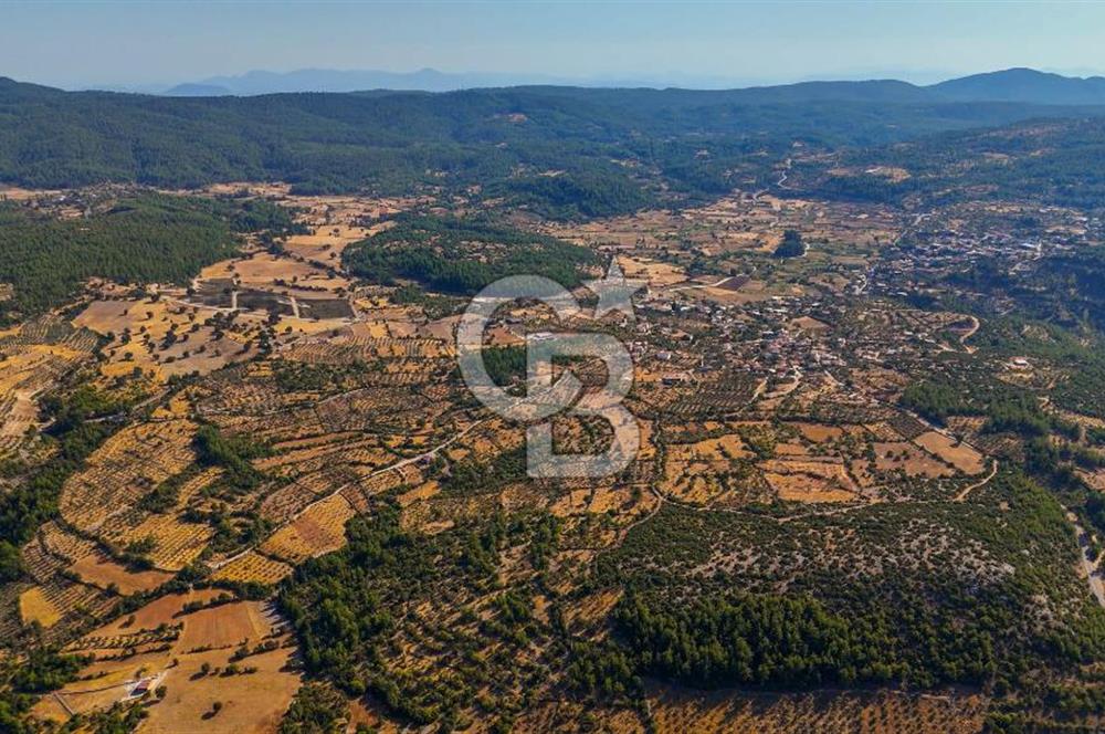 MENTEŞE DENİZOVA'DA SATILIK 7,186 TARLA