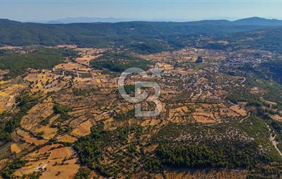 MENTEŞE DENİZOVA'DA SATILIK 7,186 TARLA