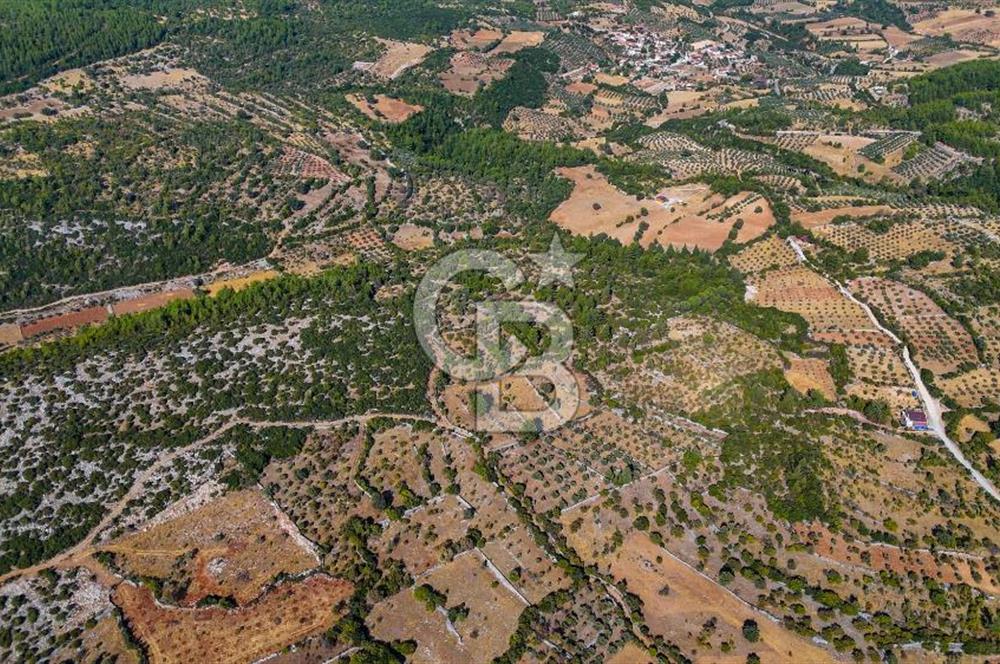 MENTEŞE DENİZOVA'DA SATILIK 7,186 TARLA