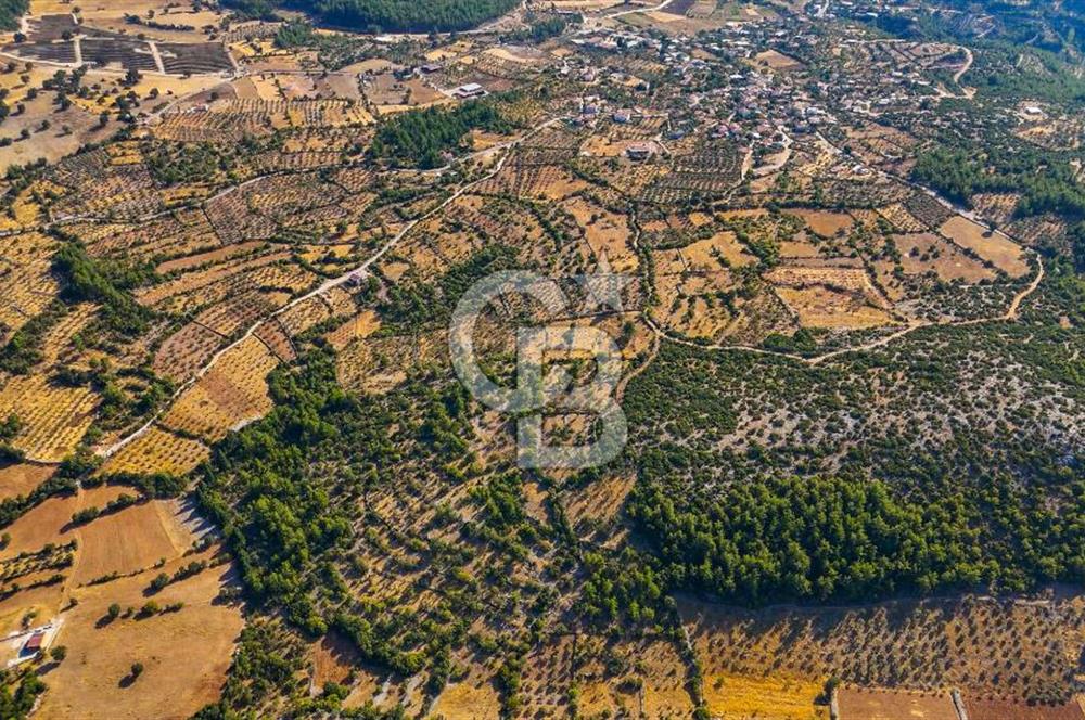 MENTEŞE DENİZOVA'DA SATILIK 7,186 TARLA