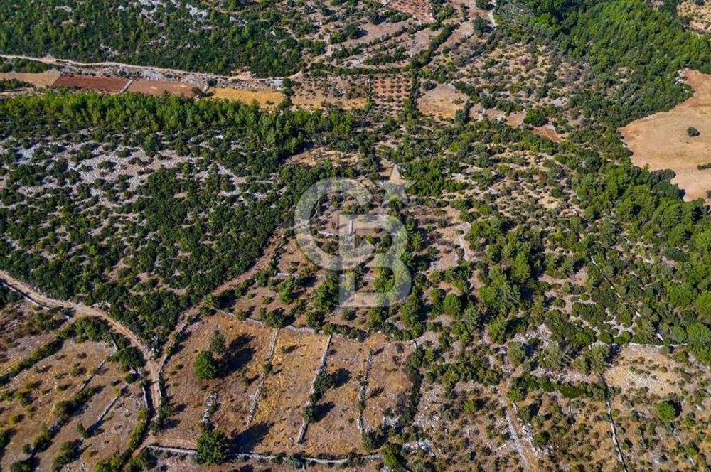 MENTEŞE DENİZOVA'DA SATILIK 7,186 TARLA