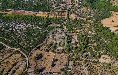 MENTEŞE DENİZOVA'DA SATILIK 7,186 TARLA