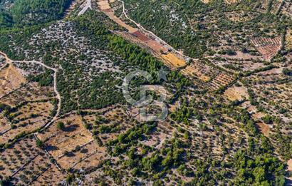 MENTEŞE DENİZOVA'DA SATILIK 7,186 TARLA