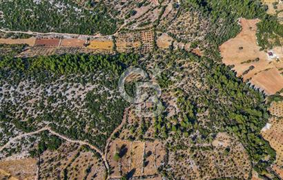 MENTEŞE DENİZOVA'DA SATILIK 7,186 TARLA